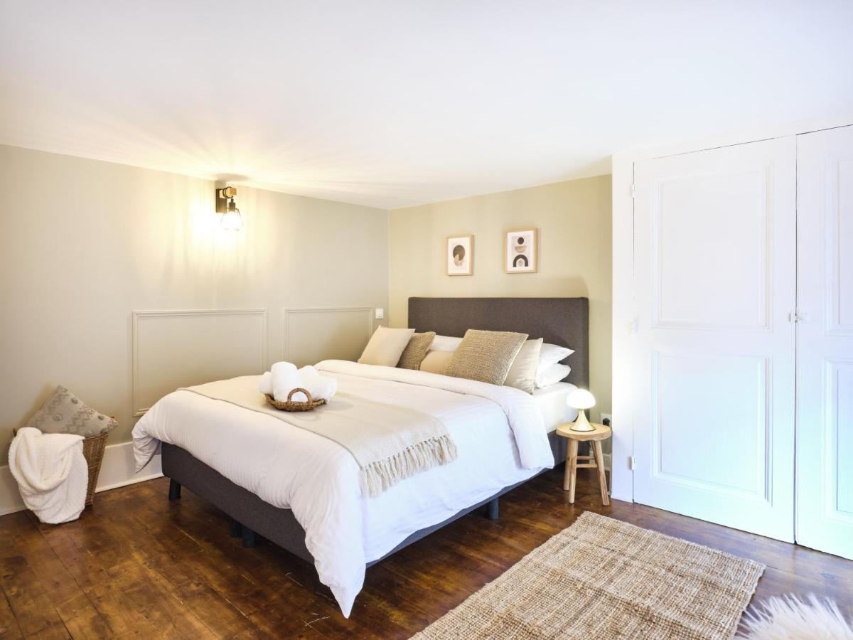 Tres Elegant Duplex, Proche Gare Apartment Grenoble Ngoại thất bức ảnh