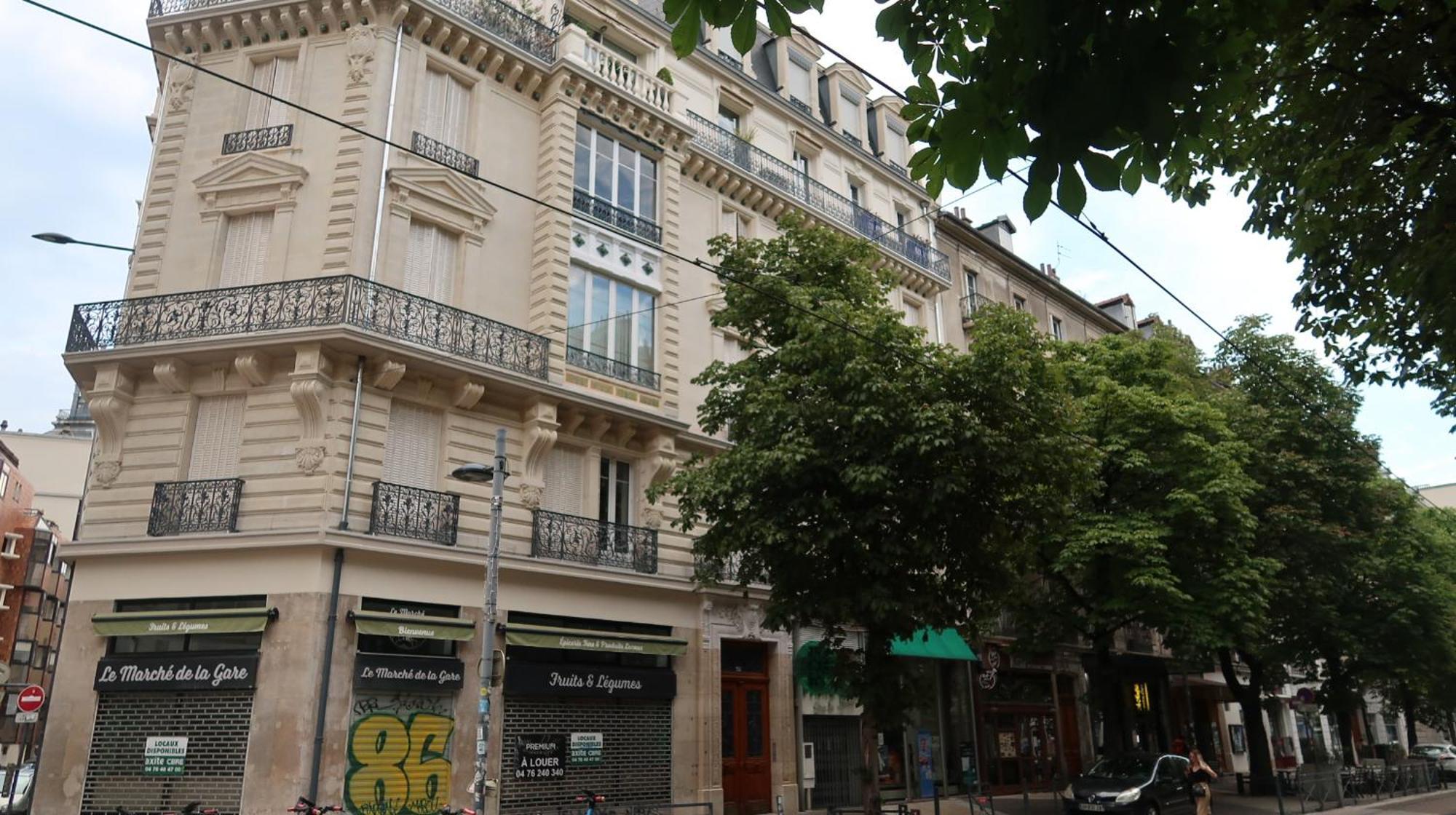 Tres Elegant Duplex, Proche Gare Apartment Grenoble Ngoại thất bức ảnh