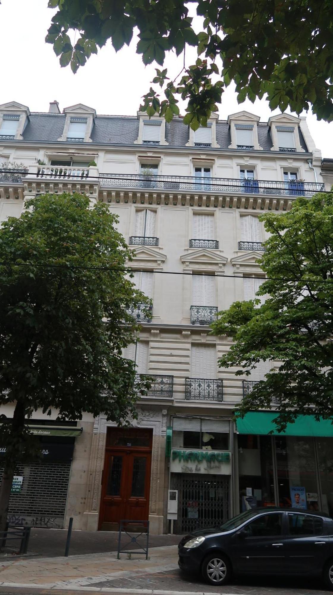 Tres Elegant Duplex, Proche Gare Apartment Grenoble Ngoại thất bức ảnh